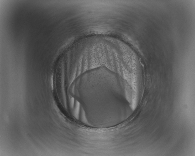 X0000072940019200608041253