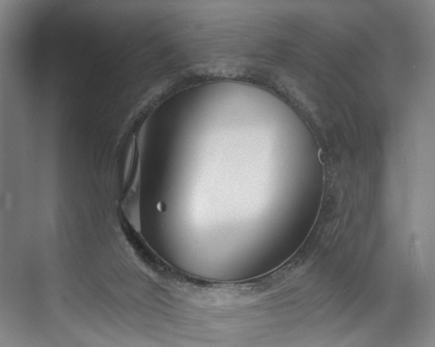 X0000072940020200608041253