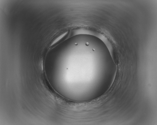 X0000072940021200608041253