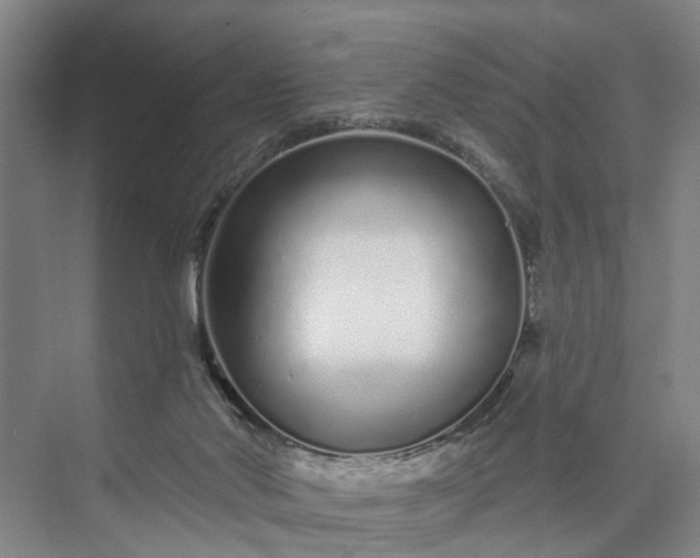 X0000072940022200608041253