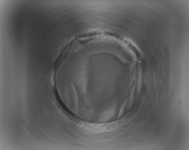 X0000072940023200608041253