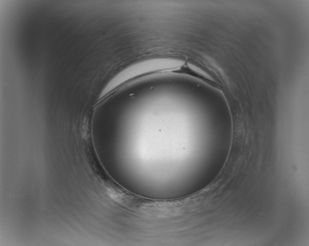 X0000072940025200608041253