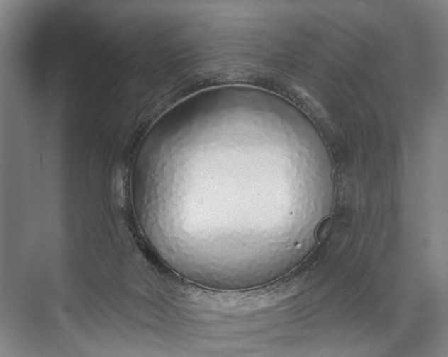 X0000072940026200608041253