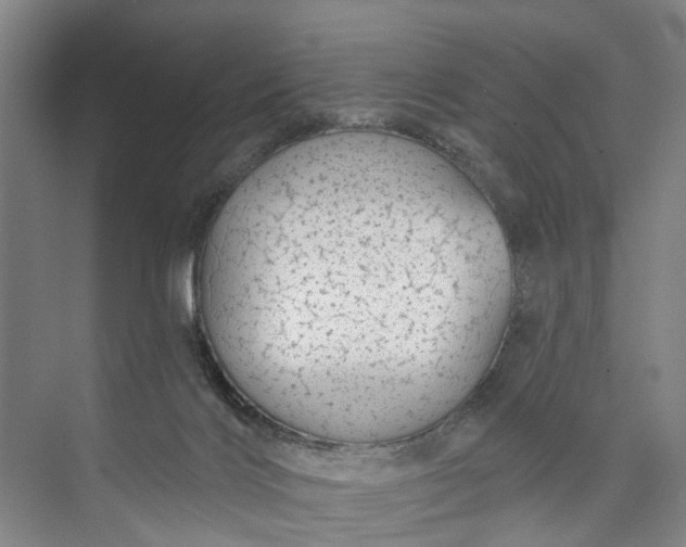 X0000072940028200608041253