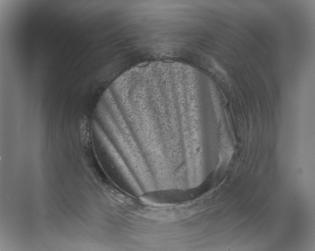 X0000072940029200608041253