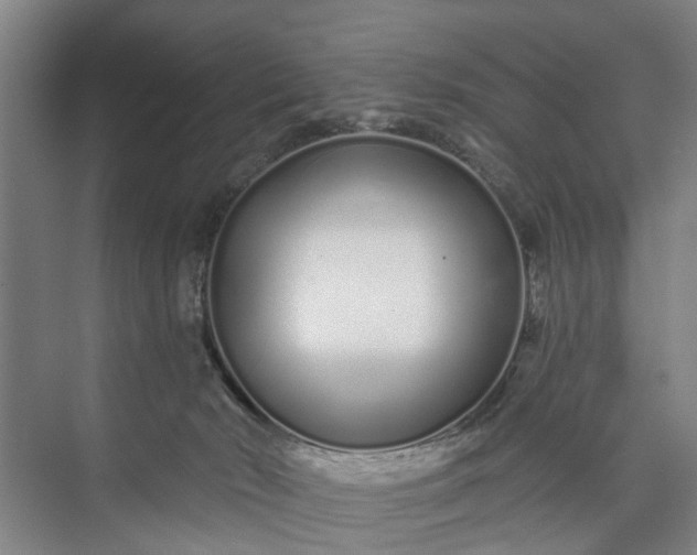 X0000072940030200608041253