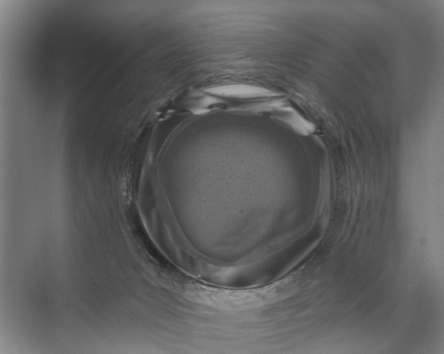 X0000072940031200608041253