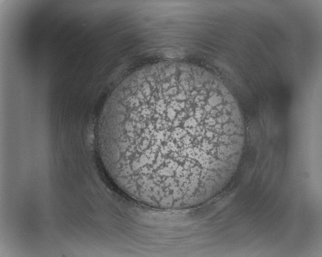 X0000072940032200608041253