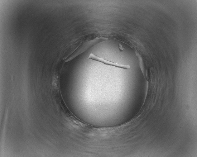 X0000072940033200608041253