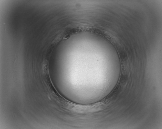 X0000072940034200608041253