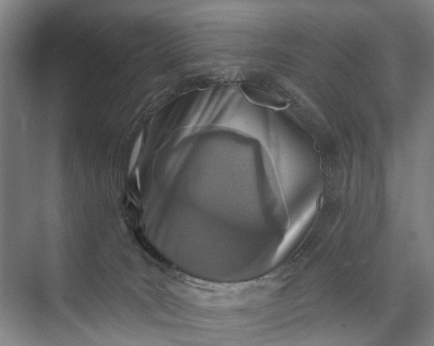 X0000072940035200608041253