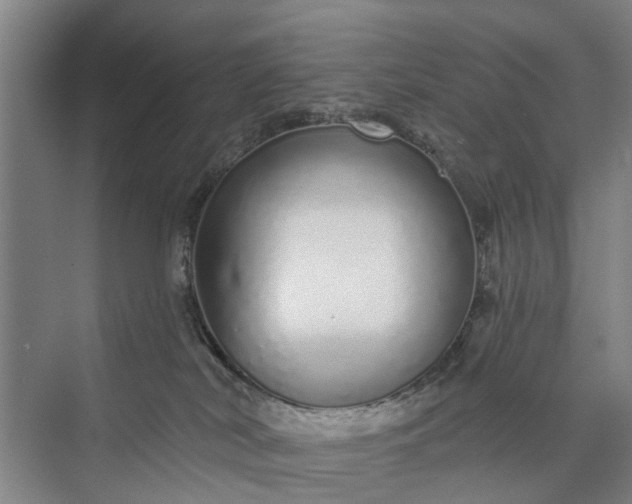 X0000072940038200608041253