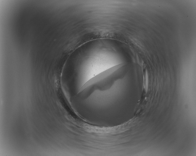 X0000072940039200608041253