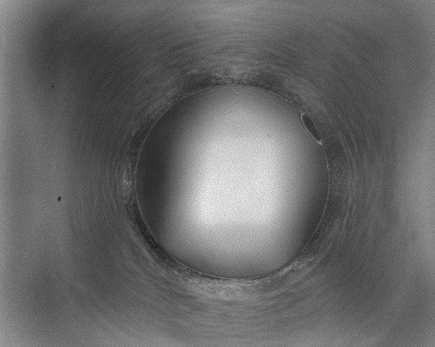 X0000072940040200608041253