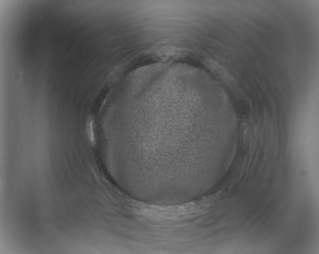 X0000072940042200608041253