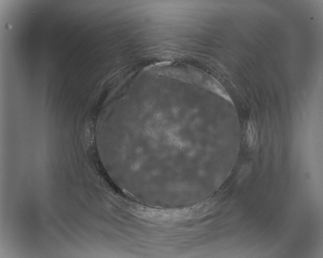 X0000072940043200608041253