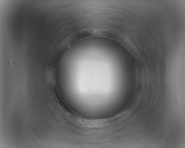 X0000072940044200608041253