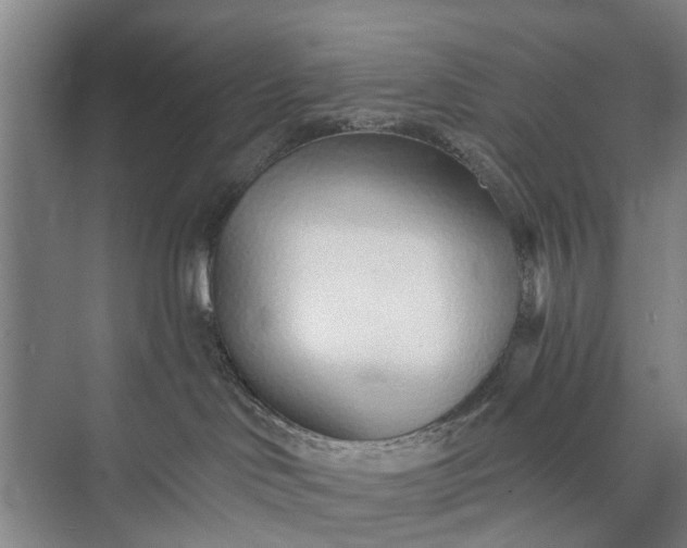 X0000072940046200608041253