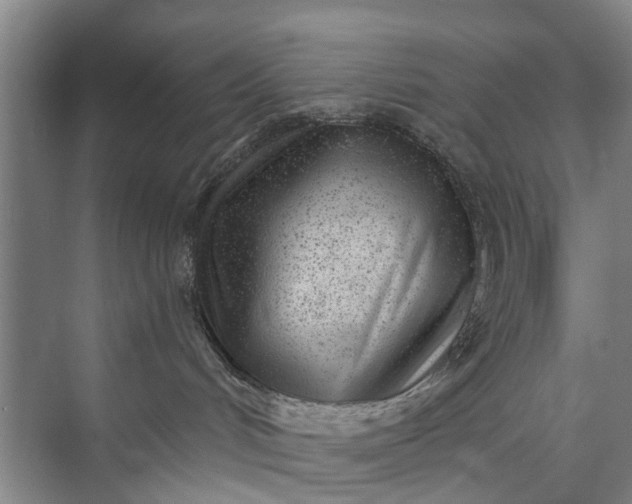 X0000072940048200608041253