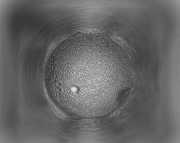 X0000072940049200608041252