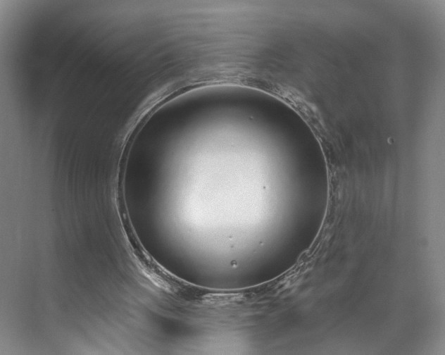 X0000072940051200608041252