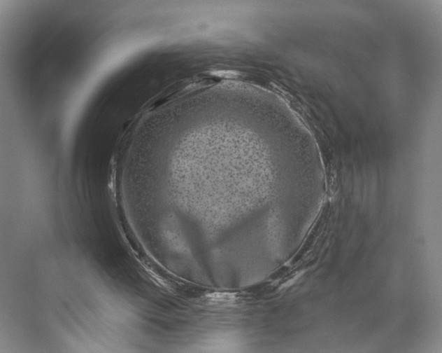 X0000072940052200608041252