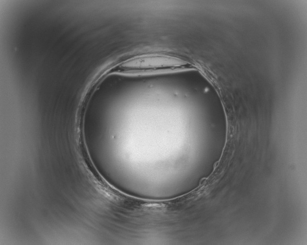 X0000072940053200608041252