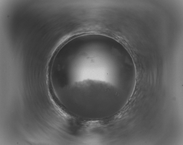 X0000072940054200608041252