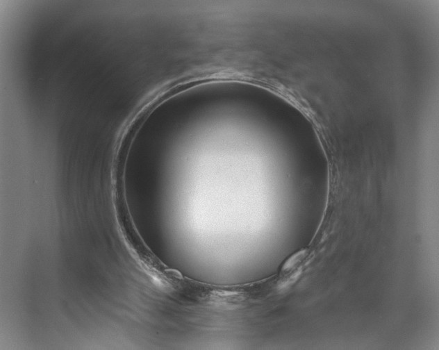 X0000072940055200608041252