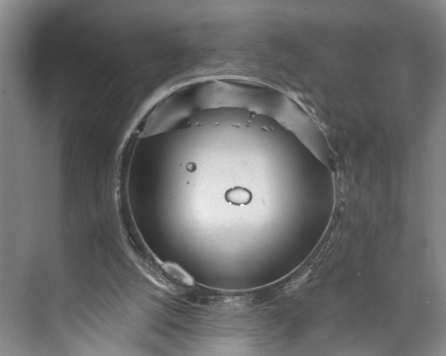 X0000072940056200608041252