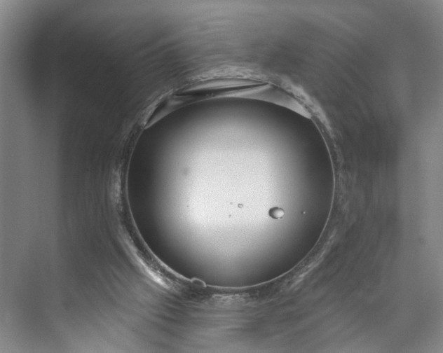 X0000072940057200608041252