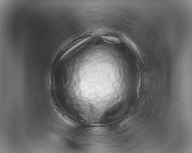 X0000072940059200608041252