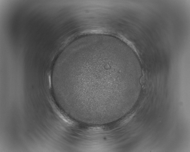 X0000072940061200608041252