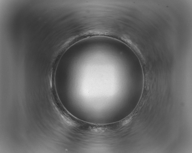 X0000072940062200608041252