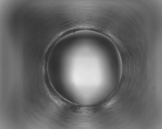 X0000072940064200608041252