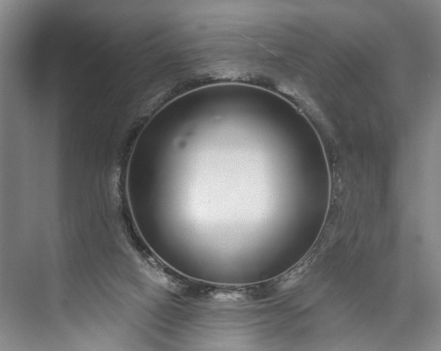 X0000072940066200608041252