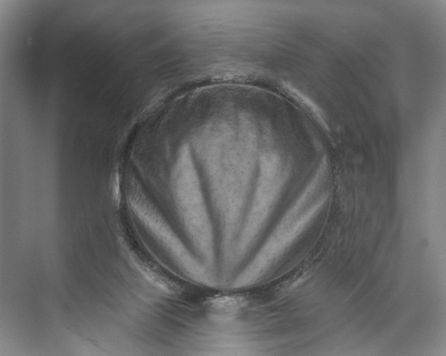 X0000072940067200608041252