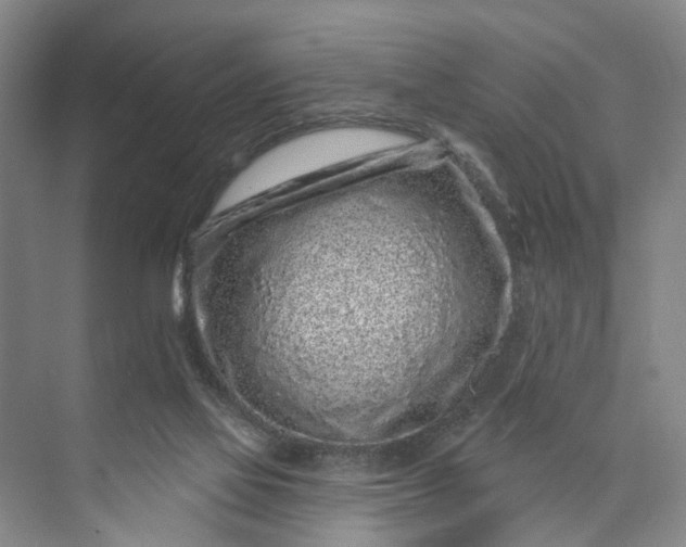 X0000072940069200608041252