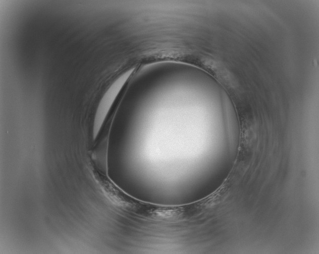 X0000072940070200608041252