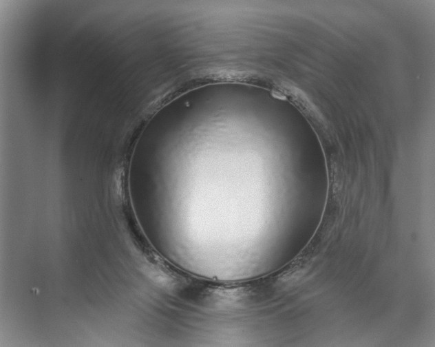 X0000072940071200608041253