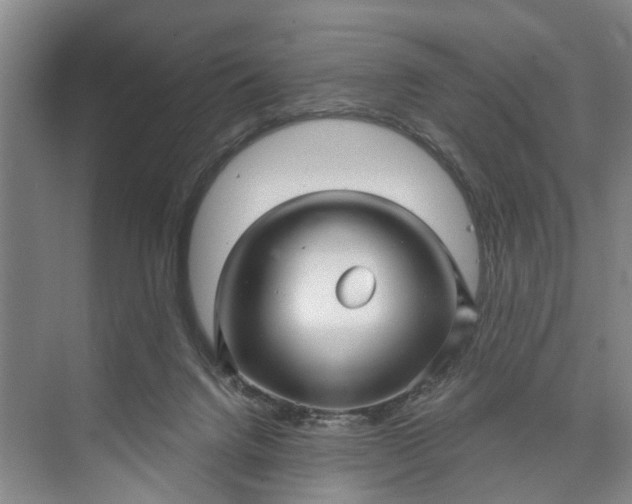 X0000072940072200608041253