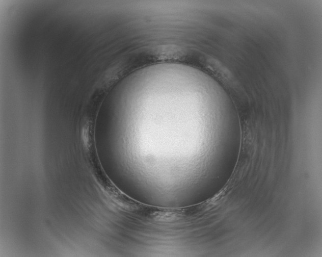 X0000072940074200608041253