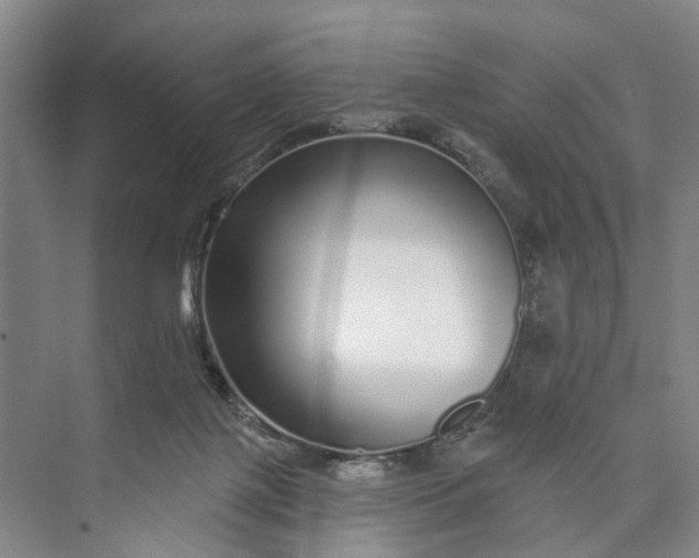 X0000072940075200608041253