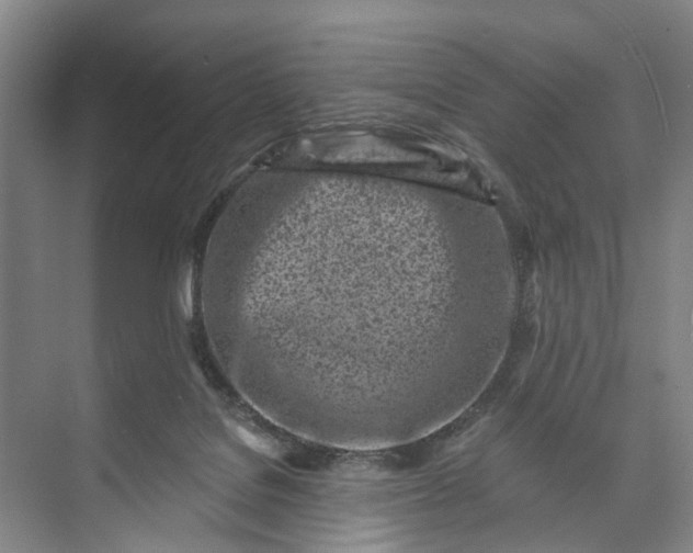 X0000072940076200608041253