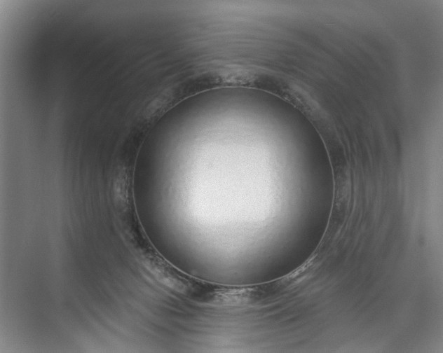 X0000072940078200608041253