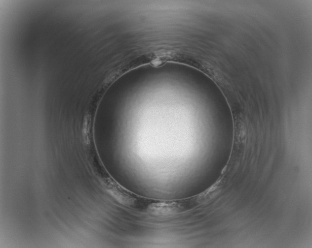 X0000072940082200608041253