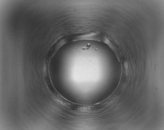 X0000072940084200608041253