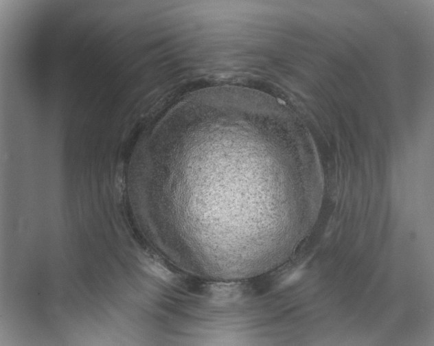 X0000072940085200608041253