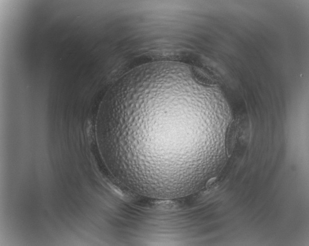 X0000072940087200608041253