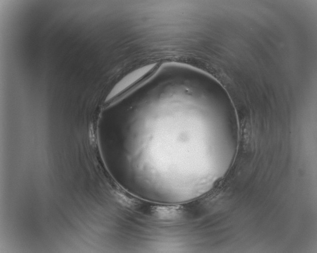 X0000072940089200608041253